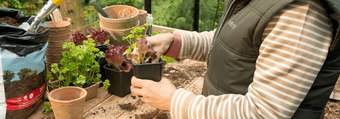 [paste advice page name here]